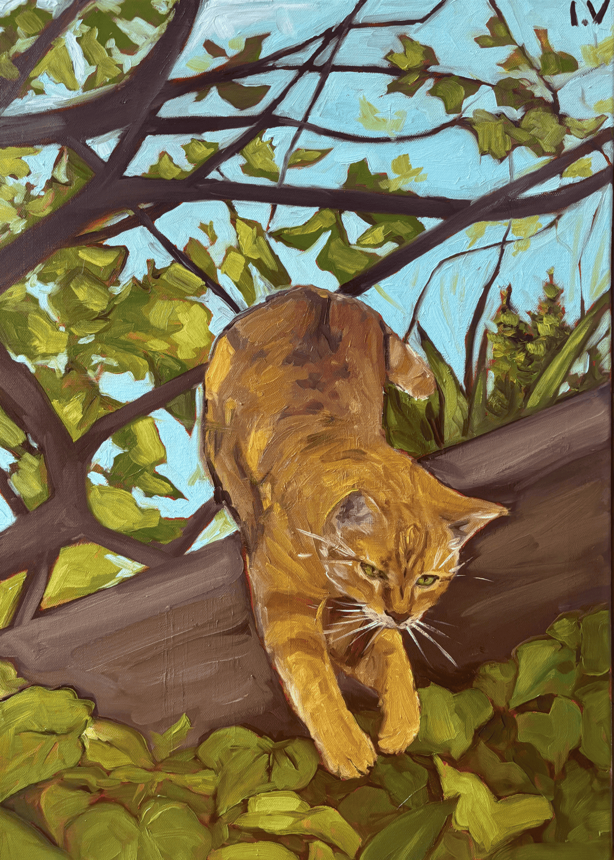 Orange cat oil painting, 50x70 cm