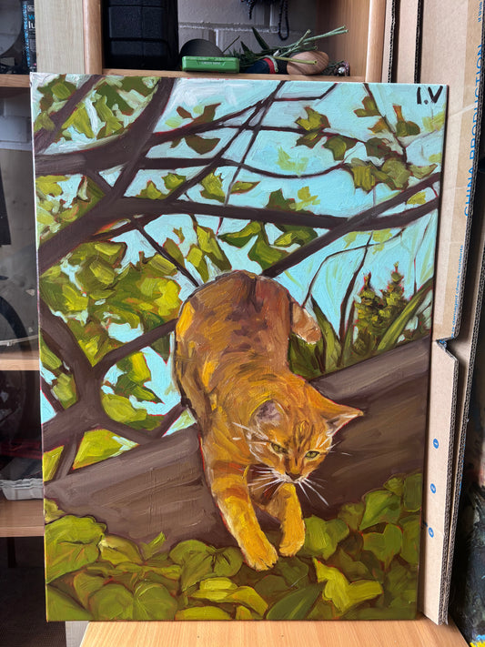 Orange cat, 50x70 cm