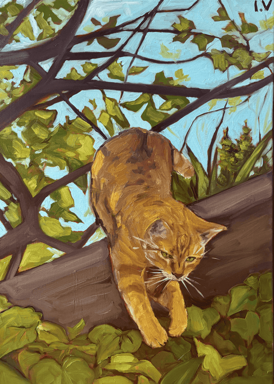 Orange cat, 50x70 cm