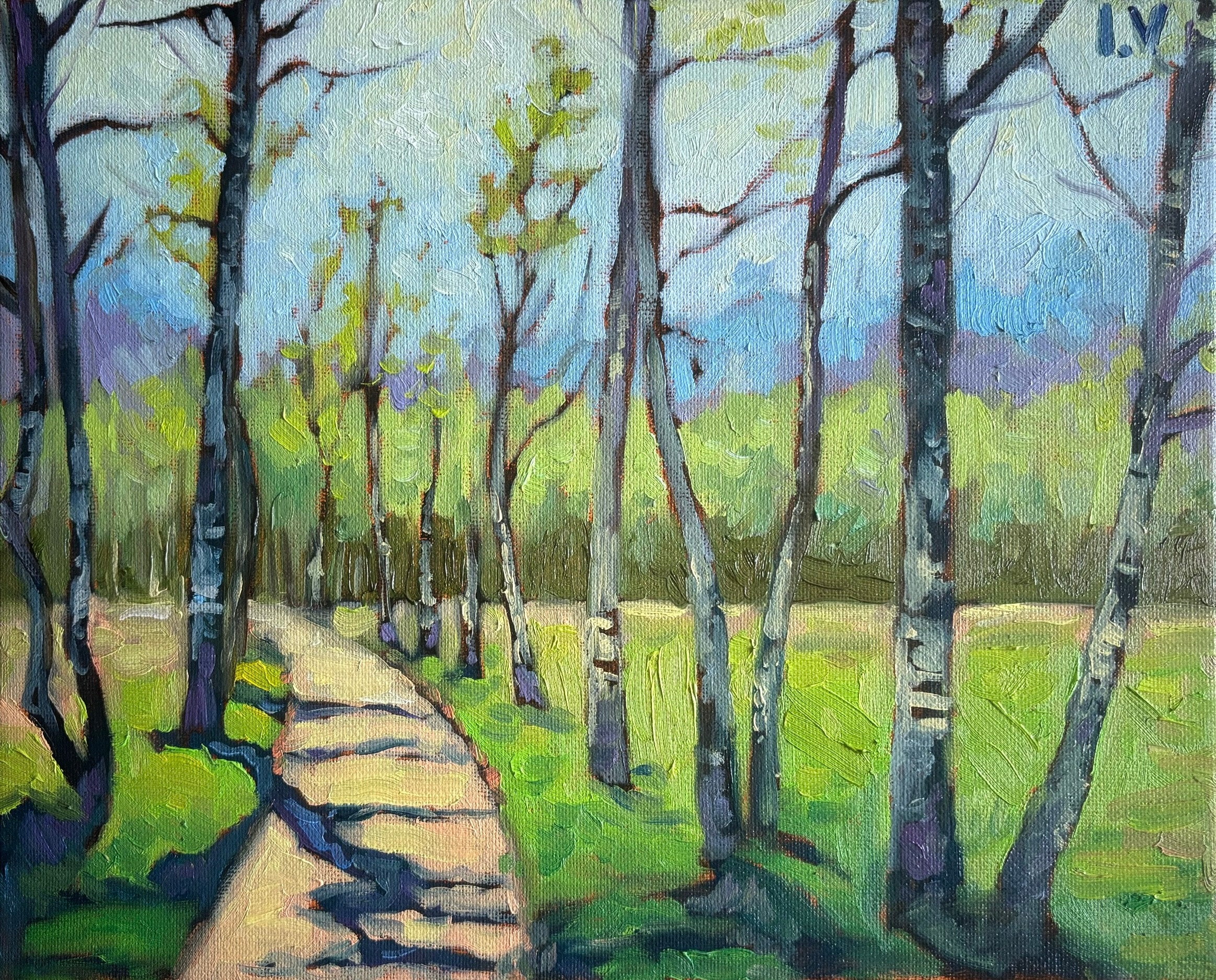Birch alley, 24x30 cm